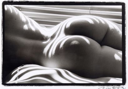 Lucien CLERGUE (1934-2015) Nu zébré Photo signée, dédicacée au dos "Pour Valérie...