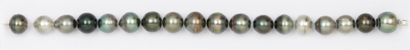 null Bracelet de dix-huit perles de culture grises de Tahiti. Diamètre des perles :...