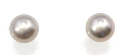 null Paire de boutons d'oreilles en or gris ornés chacun d'une perle de culture.
Diamètre...