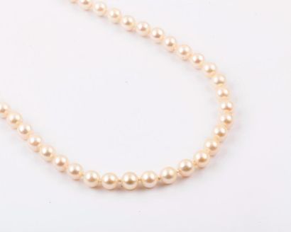 Collier de perles de culture japonaises Akoia,...