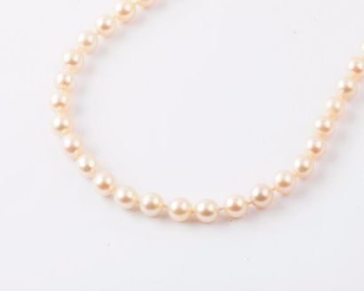  Collier d’un rang de perles de culture japonaises Akoia. Fermoir en argent orné...