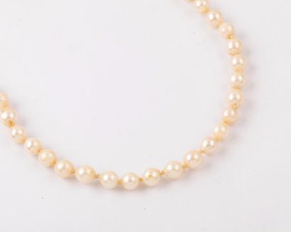 null Sautoir de perles de culture japonaises Akoia. Diamètre d’une perle : 6,6 mm...