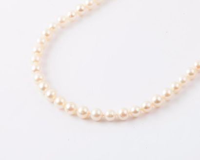 Collier de perles de culture japonaises Akoia....
