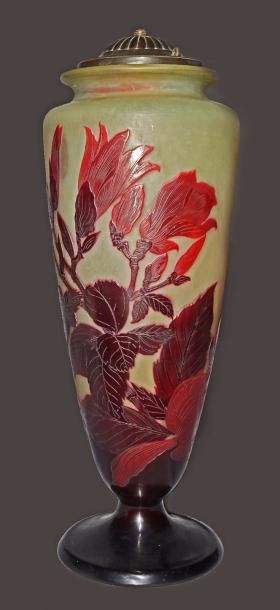 null Emile GALLÉ

Vase balustre en verre multicouches à décor de branchages fleuris...