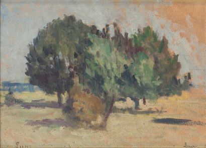 null Maximilien LUCE (1858-1951) Paysage aux arbres Huile sur carton, signée en bas...