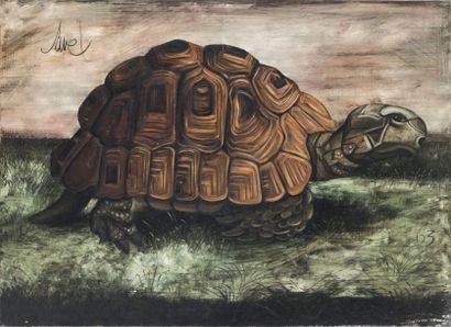 null Francis SAVEL (XXème) La tortue Huile sur toile signée en haut à gauche et daté...