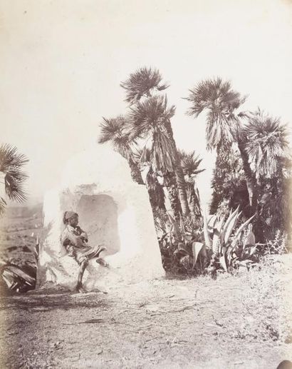 null Paul Marie Famin (1851-1911)	

Algérie, 1881.	

Oran. Gorges de la Chiffa. Bois...