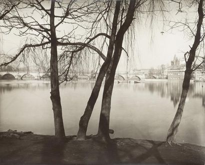 [PHOTOGRAPHIE] 
Josef SUDEK (1896-1976) Photographe....