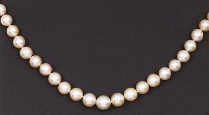 null Collier de trente-et-une perles de culture, le fermoir en argent doré.
Diamètre...