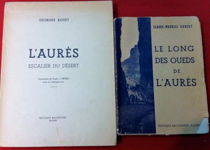 null [AURES] Ensemble de deux livres:
- [IRRIERA] Georges ROZET. L'Aurès, escalier...