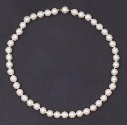 null Superbe collier de quarante-quatre perles de culture japonaises Akoia. Fermoir...