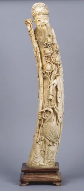 CHINE, vers 1940 
Grand sujet en ivoire sculpté représentant Zhoulao debout, tenant...