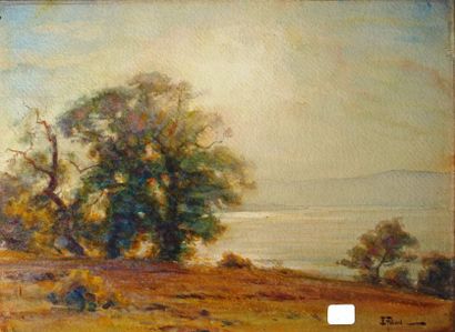 Ernest FILLIARD (1838-1933) 
Paysage au lac
Aquarelle signée en bas à droite. A gauche...