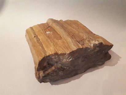 null 19 – Bloc de bois pétrifié.21 x 14 cm. Haut. : 10 cm.