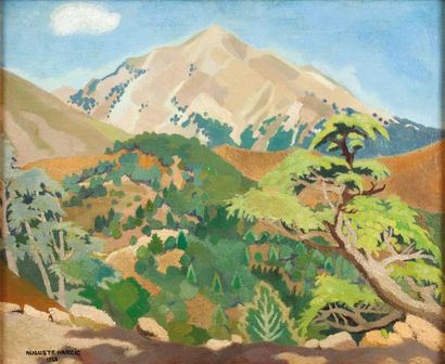 Auguste HARZIC (1902-1988) 
Paysage de Kabylie
Huile sur toile marouflée sur carton,...
