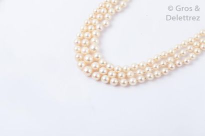 null Collier de trois rangs de perles de culture japonaises Akoia, le fermoir serti...