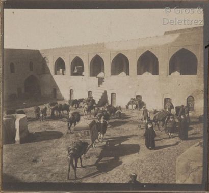 null Photographe amateur 

Irak, c. 1910. 

Sur le Tigre. Bagdad. Samarra. Ninive....