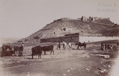 null Photographe amateur 

Crète. Turquie. Syrie. Bulgarie. c. 1899-1900. 

La Canée....