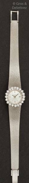 null EVIANA - Bracelet-montre de dame en or gris, la lunette sertie de diamants taillés...