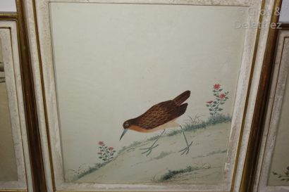 null Chine

Trois aquarelles représentant un faisan, un pigeon et un échassier, 

Chine...