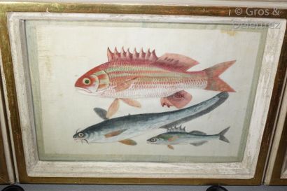 null Chine

Suite de quatre aquarelles sur papier de riz représentant des poissons...