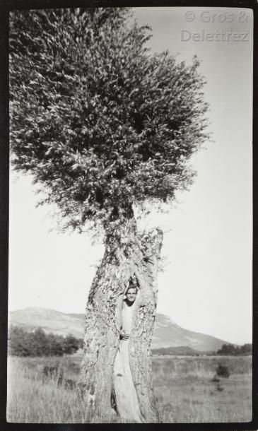Photographe non identifié René Crevel dans l’arbre, c. 1930.

Épreuve argentique...