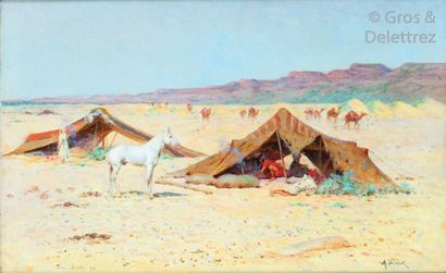 Alphonse BIRCK (1859-1942) Le poulain au campement, Bou Saada Huile sur toile, signée...