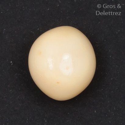null Perle «Conche» naturelle ou Melo melo - Perle de Birmanie.
P. 5,5g.
Diamètre:...