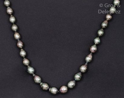 null Collier de perles de culture grises de Tahiti en chute, le fermoir en or gris....