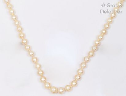 Très beau collier de cinquante-trois perles...