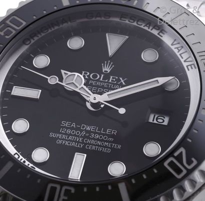 ROLEX SEA-DWELLER DEEPSEA 12800ft Ref 116660 n°V123XXX vers 2009 Rare montre de plongée...