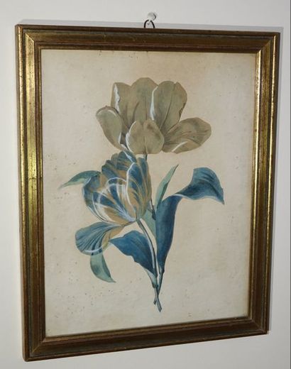 École Française du début du XIXe siècle Fleurs découpées.
Paire d’aquarelles.
22...