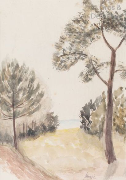 Michel MANZI Bord de mer aux pins Aquarelle. Signée en bas à droite. 26 x 18 cm