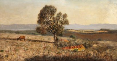 Joseph SINTES (1829-1913) Sur les hauts Plateaux Huile sur toile, signée en bas à...