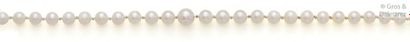 null Collier de perles de culture blanches. Diamètre des perles?: 3,5 à 7,1mm environ....