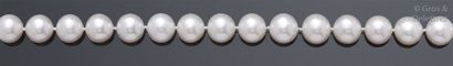 null Collier de perles de culture, le fermoir orné d’une boule en argent. Longueur?:...