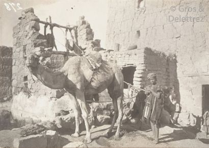 null Photographe amateur allemand

Yémen, c. 1910.

Sanaa. Kaubakan. Dhamar. Porteurs...