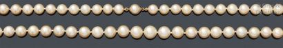 Beau collier de cinquante-trois perles de...