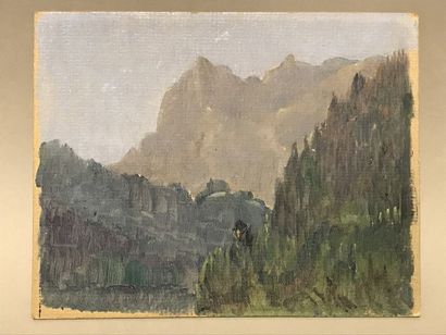Robert LEMONNIER (1883-1970) Paysages de montagne : Savoie, Auvergne.

6 huiles sur...