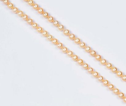 null Collier de deux rangs de perles de culture japonaises AKOIA. Fermoir en or jaune...
