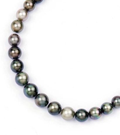 null Collier de 32 perles de culture grise de Tahiti. Diamètre des perles: 10,2 à...