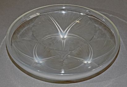 null René LALIQUE (1860 - 1945) 

Coupe «?Volubilis?» en verre moulé pressé opalescent.

Signature...