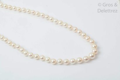 Beau collier de cinquante sept perles de...