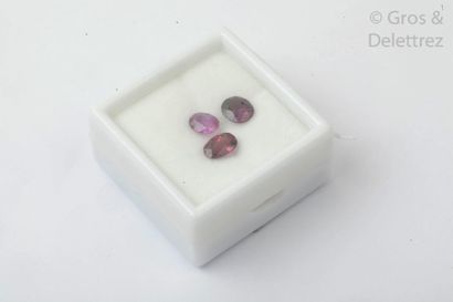 null Lot de trois saphirs roses sur papier. Poids total : 4,2 carats. 