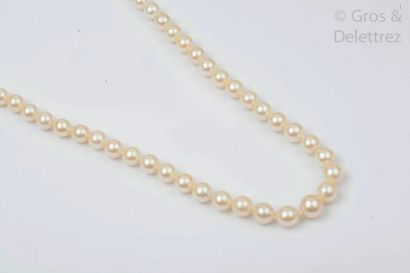  Beau collier de cinquante sept perles de culture japonaises AKOIA, le fermoir en...