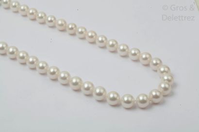 null Collier de perles de culture d'eau douce, le fermoir boule en or gris. Diamètre...