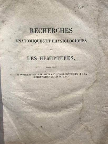 null DUFOUR (Léon). Recherches anatomiques et physiologiques sur les hémisphères....
