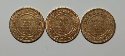 null Trois PIECES DE 20 francs Tunisie
Poids 19,3 g