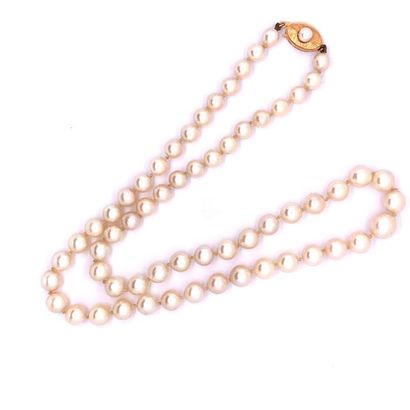 null COLLIER à un rang de perles de culture. fermoir en or (750) serti d'une perle...