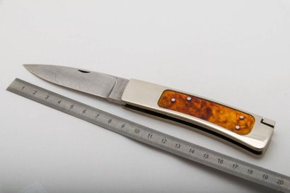 null BERTOLUZZI Couteau, pliant, lame damas (8,5 cm), manche en acier inoxydable,...